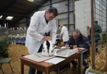 Landelijke IJsselvliedtshow verwacht 750 dieren