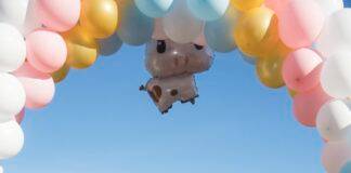 Agrarisch kinderdagverblijf Op de Boerderij feestelijk van start