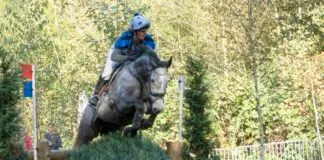 Nieuws in beeld – Molecaten Ruiterdag