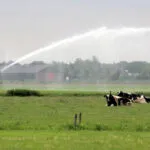 Groen licht voor onttrekken water uit beken en sloten â Waterschap heft verbod op