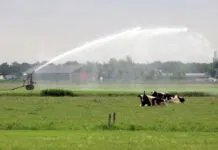 Groen licht voor onttrekken water uit beken en sloten – Waterschap heft verbod op