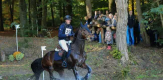 Nieuws in Beeld – Molecaten Ruiterdag (2)