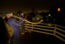 Midwinterhoornblazers in Zalk