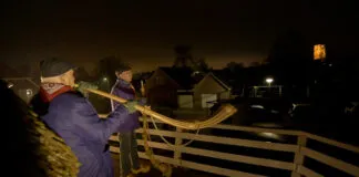 Midwinterhoornblazers in Zalk