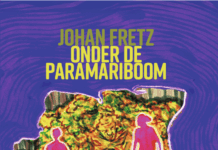 Praat mee over ‘Onder de paramariboom’ van Johan Fretz