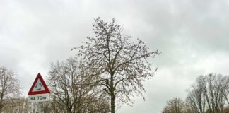 Bereikbaarheid rotonde Apeldoornseweg