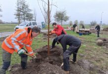 Boomfeestdag – maar dit keer voor grote mensen