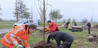 Boomfeestdag – maar dit keer voor grote mensen