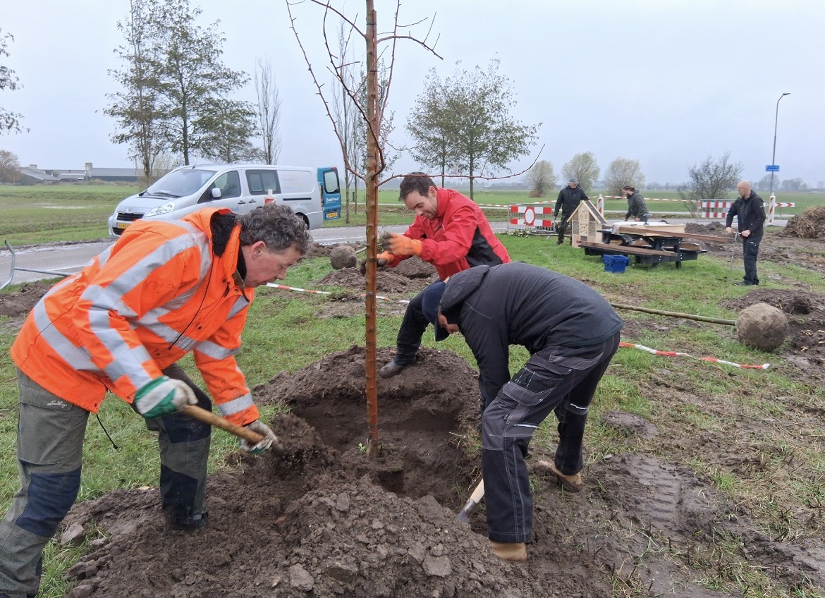 Boomfeestdag – maar dit keer voor grote mensen