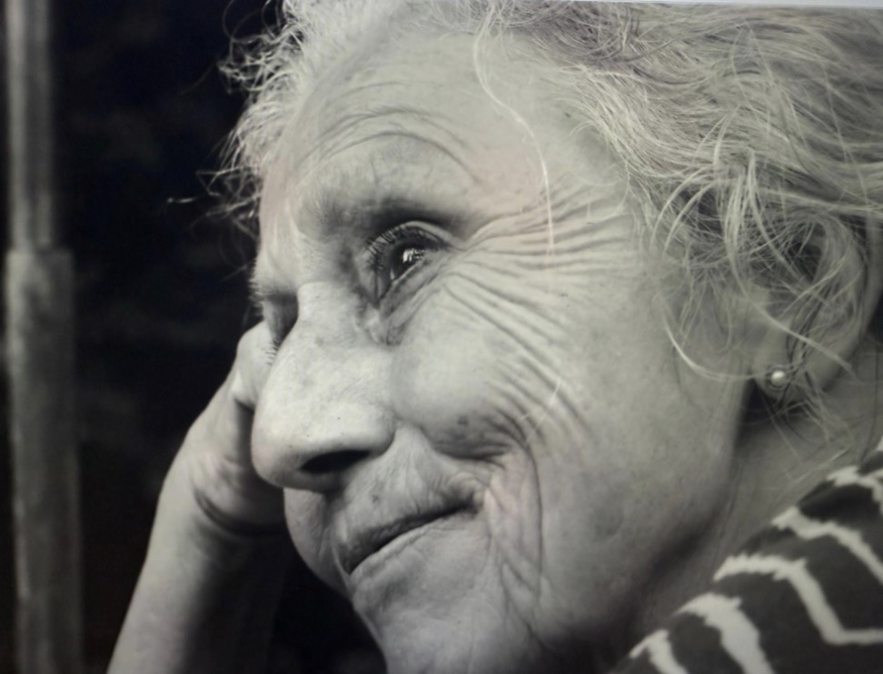 Birgitta Hogendoorn nieuw redactielid nieuwssite RTV Hattem