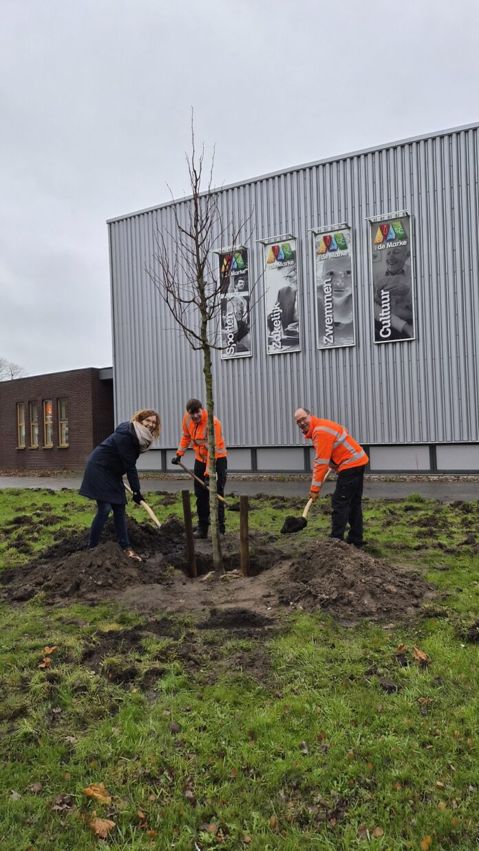 linde Marke wethouder2