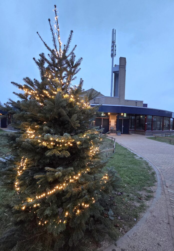 Foto wenskerstboom Open Poort