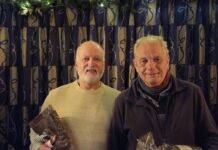 Hattem Petanque speelt zomer en winter