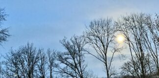 Nieuws in beeld – supermaan