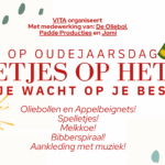Nieuw op Oudjaarsdag: Spelletjesfestijn in Wapenveld