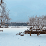 Nieuws in beeld – wederom sneeuw