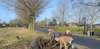 Groene Enk nog groener