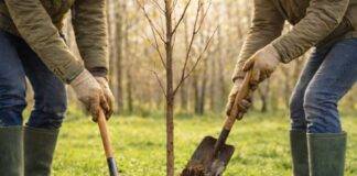Tweede plantdag Voedselpark Assenrade vraagt extra handen