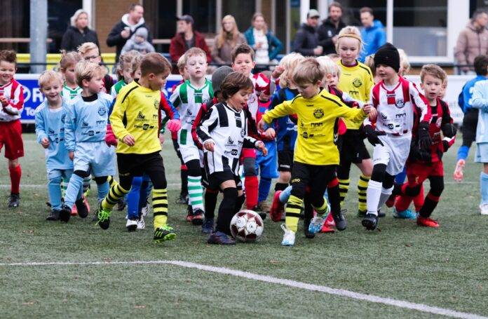 mini's Gradus Dijkman