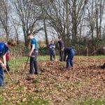 Leerlingen Greijdanus helpen Groen Goud