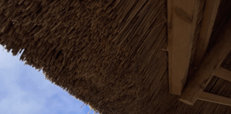 Verkentoren-baldadigheid