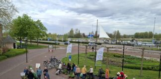 Plantjesmarkt Groen Goud Hattem laat mensen experimenteren met tegelarme tuinen
